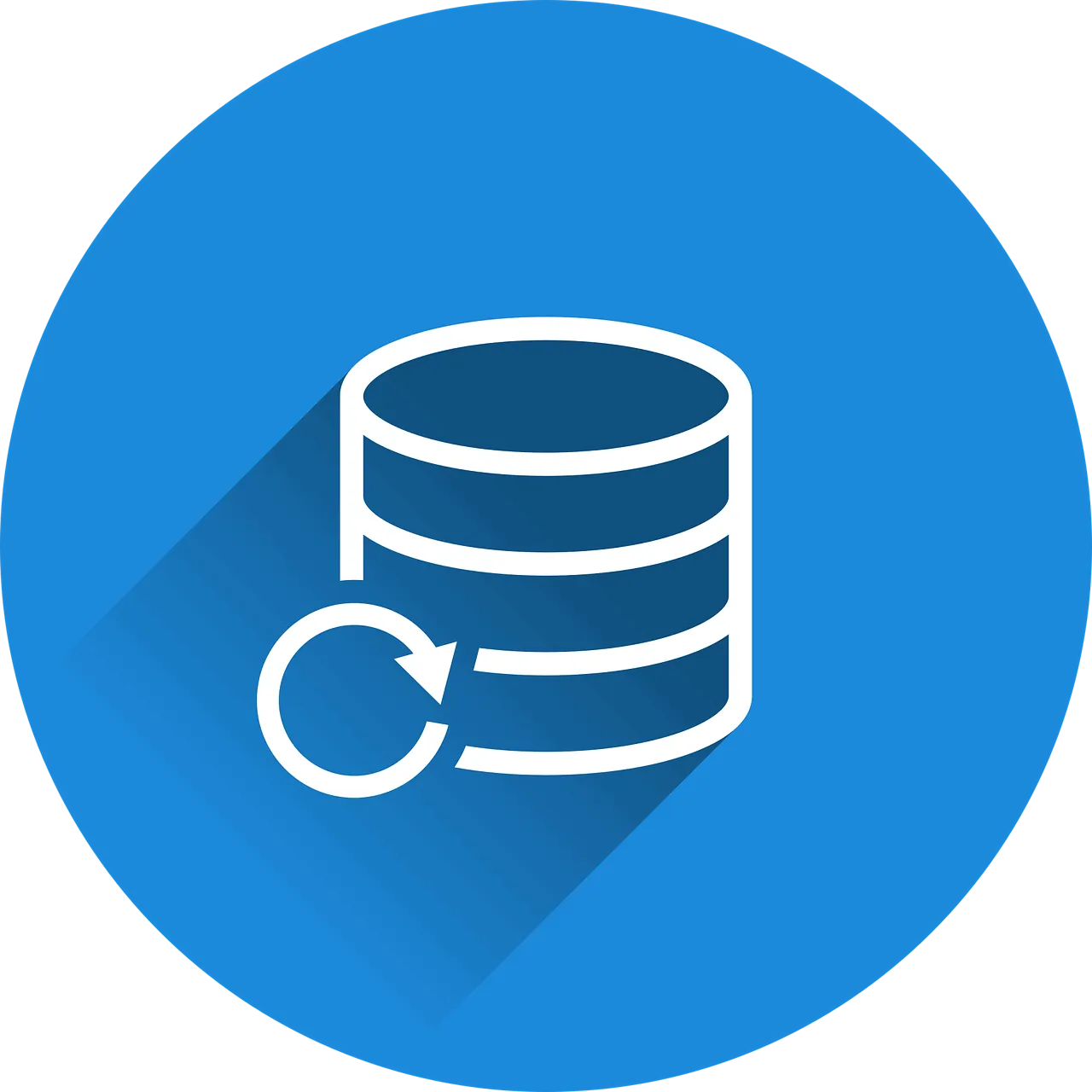 database backup